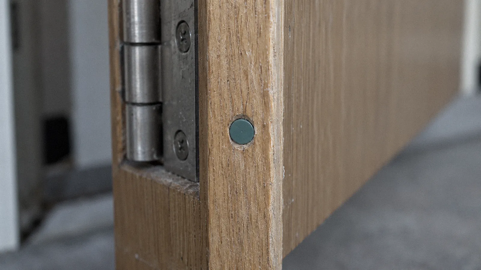 Top edge of a fire door leaf showing a coloured certification plug